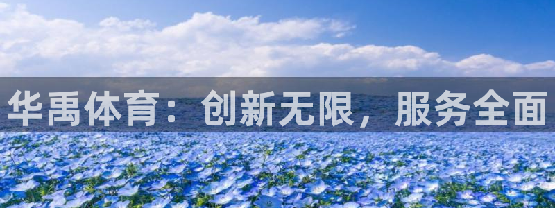 注册意昂4：华禹体育：创新无限，服务全面