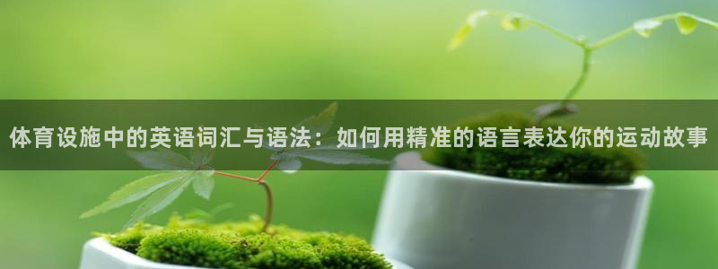 意昂4娱乐首页网站大全：体育设施中的英语词汇与语法：